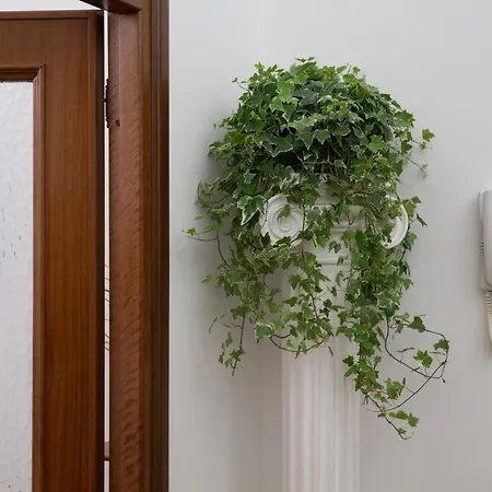 Apartment San Peter Rom